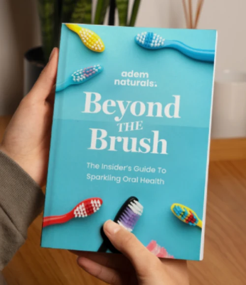Beyond the Brush bonus guide